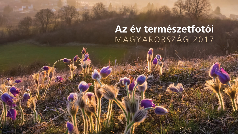 Kiállítás nyílt a legszebb magyar természetfotókból