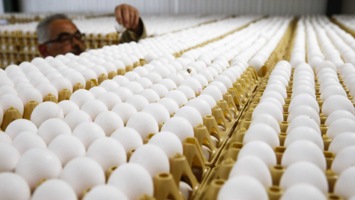 Húsvétig ennyit emelkedhet a tojás ára