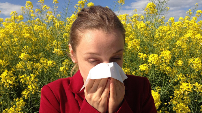 Rossz hír az allergiásoknak