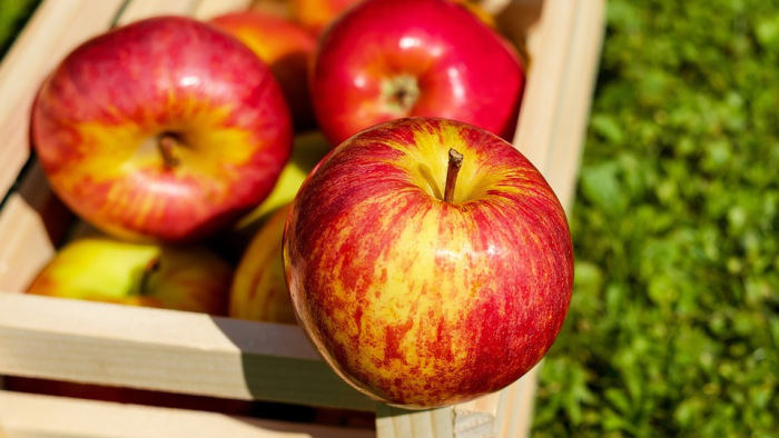 Alig van magyar gyümölcs, egy év alatt harmadára apadt az almatermés