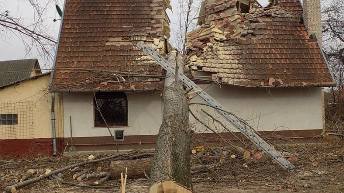 Kiderült, miért vágta ketté a házat a hatalmas fa