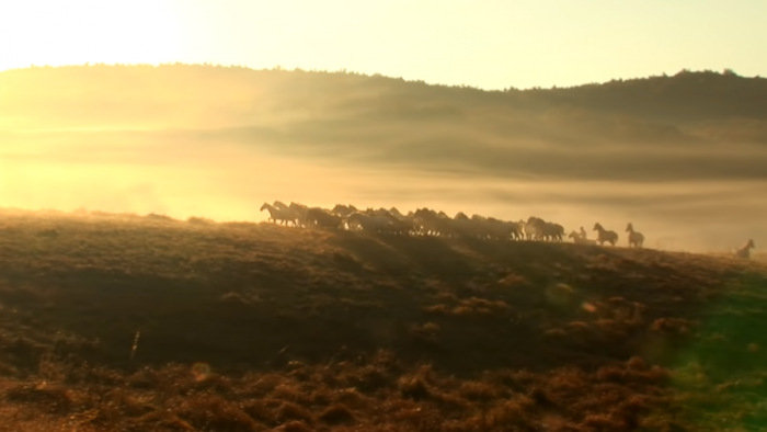 Lenyűgöző lovas gyászfilm Dallos Andor emlékére - videó