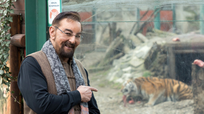 Szabadon kószált a maláji tigris a fővárosi állatkertben