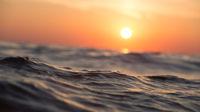 Vírusként terjed az oxigénmentesség az óceánokban