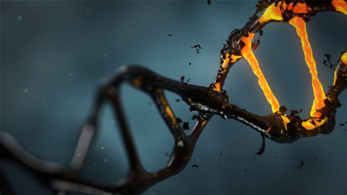 DNS: sok mindenre választ adhat, de arra nem, hogy kik vagyunk