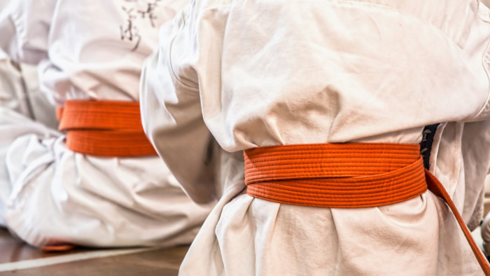 Jöhet az iskolai karateoktatás
