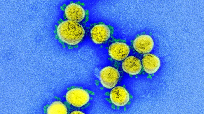 Egy kutatás feltárta: már 2019 végén kilőtt a világba a koronavírus