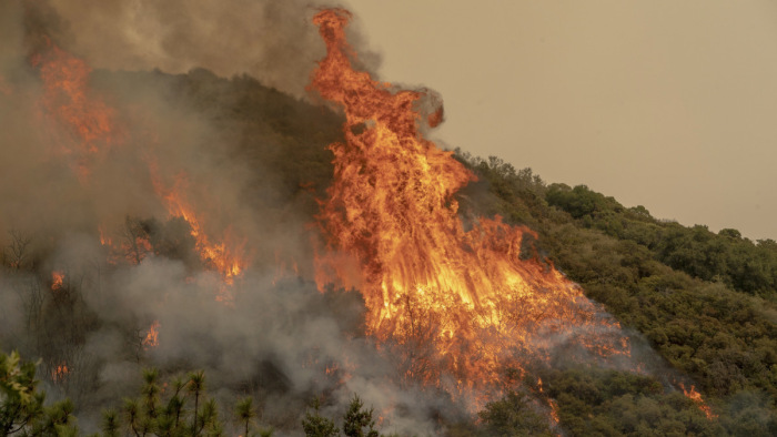 Több utas is megégett, amikor egy vonat erdőtűzbe futott Spanyolországban