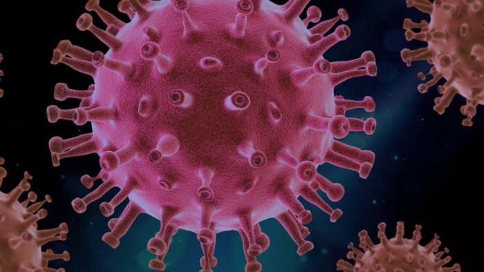 Így pusztítja a sejteket a koronavírus - videó