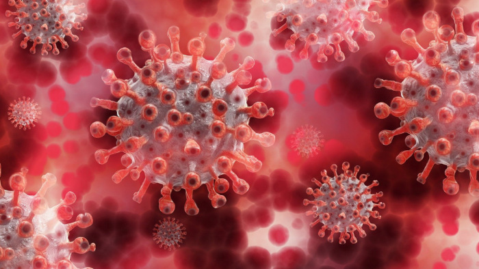 Percről percre – a koronavírus-járvány hétfői hírei