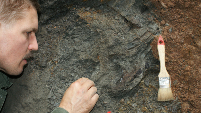 Régen elfeledett dinoszaurusz-lelőhelyekre bukkantak Erdélyben