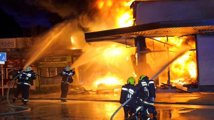Hatalmas lángokkal küzdöttek a tűzoltók Szentendrén - galéria, videó