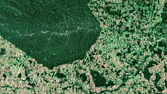 Két budapestnyi erdőt irtottak ki csak májusban az Amazonasnál