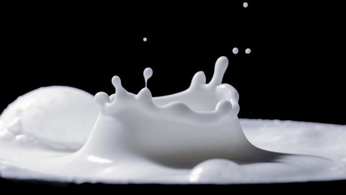 Gyorsított vizsgálat – Valami nagy gubancot szimatol a GVH az elszállt tejárak mögött