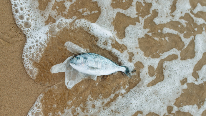 Nemsokára annyi műanyaggal árasztjuk el az óceánokat, amennyi halat kifogunk onnan