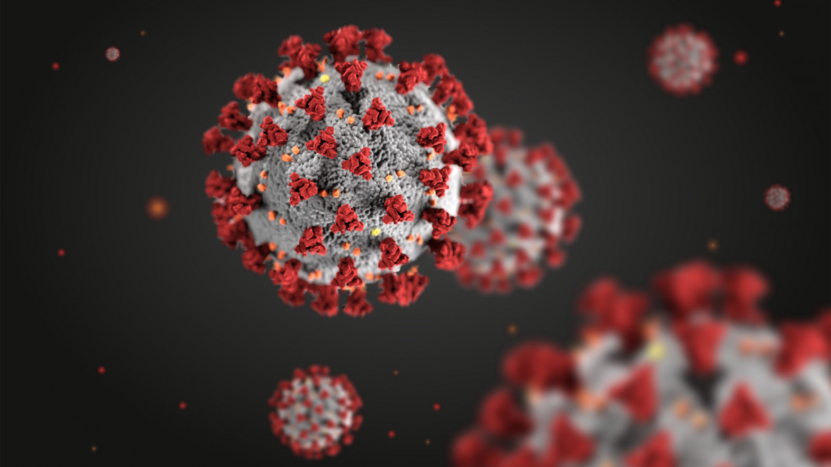 Coronavirus structural morphology 3d illustration on a liquid environment. Some Elements of this image furnished by Centers for Disease Control and Prevention (CDC).
