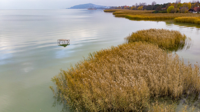 Padisák Judit: jót tenne a Balatonnak, ha időlegesen visszaadnánk a természetes partját