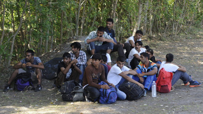 Egyre több illegális bevándorlót utasítanak ki az EU-ból