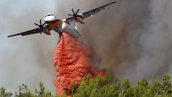 Gyújtogatás miatt égett le 1200 hektár francia erdő
