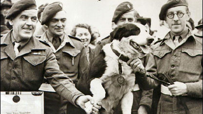 Londoni árverés: majdnem hetven millióért keltek el a hős kutya kitüntetései