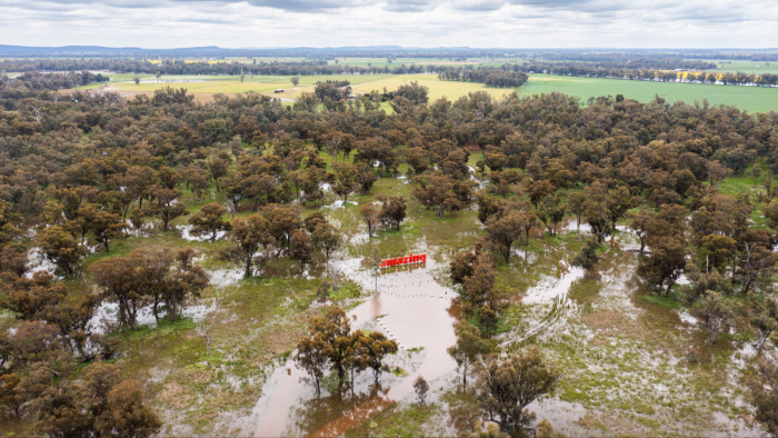 Víz alatt: rekod esők és áradások sújtják Ausztráliát – videók