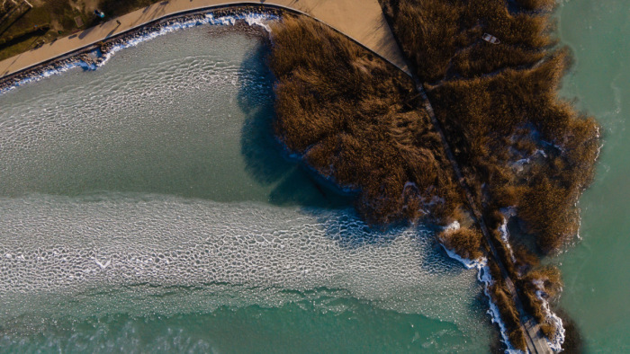 Jégsáskára bukkantunk a Balaton partján - fotók