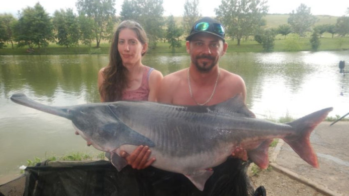 Egy magyar nő olyan halat fogott, amilyet még Európában senki