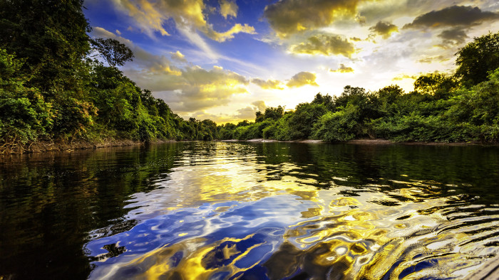 Szavanna az amazonasi őserdők helyén? – Akár még ebben az évszázadban bekövetkezhet