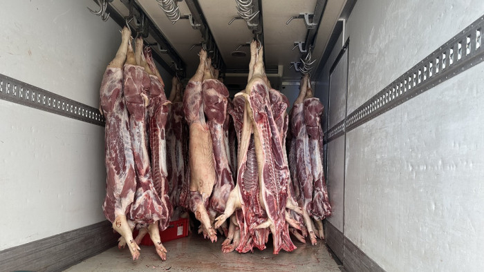 Undorító fogás: két és fél tonna romlott húst kapcsolt le a NAV - videó