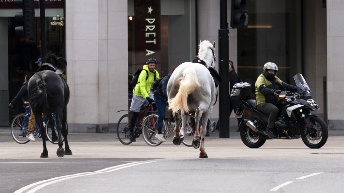 Elszabadult, a forgalomban vágtázó lovak okoztak pánikot Londonban