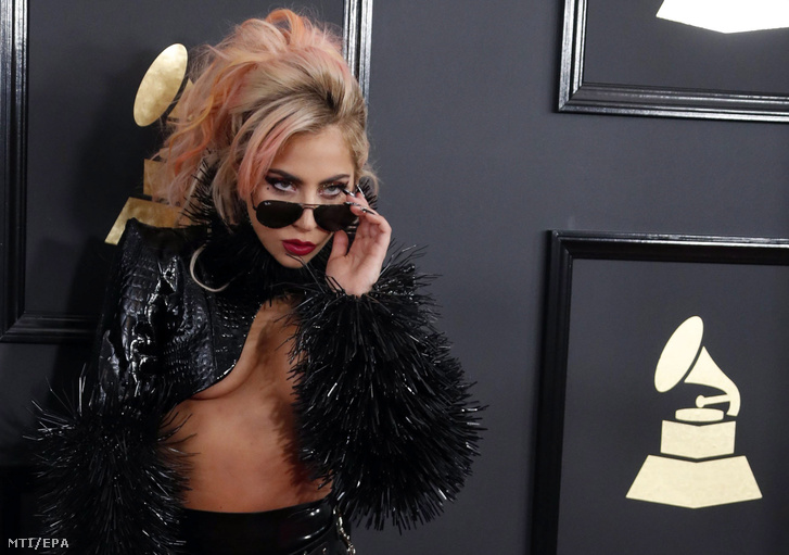 Sokkolóan szexi: Lady Gagát csak a kisgatyája takarja - fotók