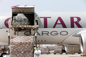 Bocikkal teli repülő indul Katarba