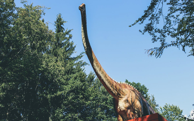 Kiderült a legnagyobb dinoszaurusz-lelőhelyek titka