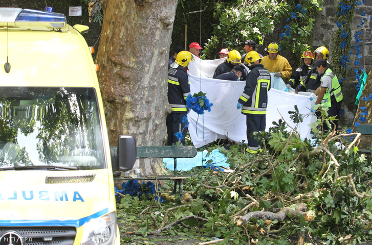 Elhunyt a magyar sérült - embereket ütött agyon egy kidőlő fa Madeirán