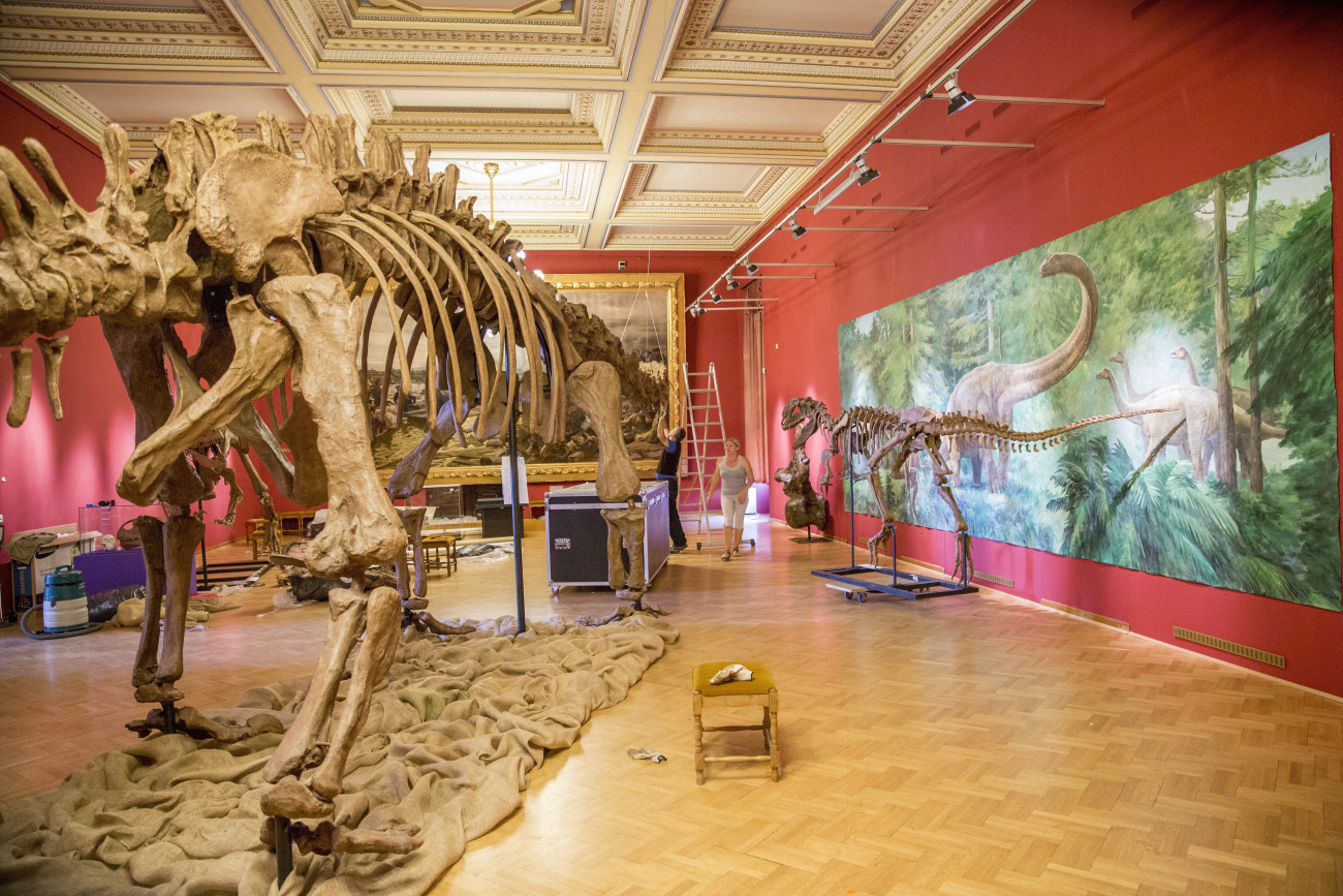 Szeged, 2018. július 10.
Az Évmilliók urai - Élethű dinók Amerikából címmel nyíló kiállítás anyagát rendezik munkatársak a szegedi Móra Ferenc Múzeumban 2018. július 10-én. A július 14-től látogatható tárlaton eredeti fosszíliákat, valós méretű csontváz- és állatrekonstrukciókat tekinthetnek meg az érdeklődők.
MTI Fotó: Rosta Tibor