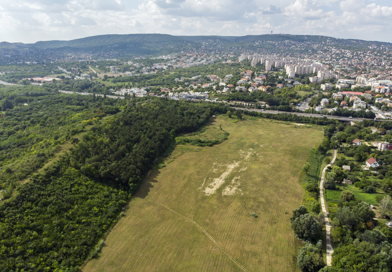 Budapest, 2018. július 31.
A zöldmezős beruházásként valósuló dél-budai centrumkórház helyszíne, az M7 és az M1 autópálya közös szakasza melletti Dobogó nevű terület 2018. július 31-én.
MTI Fotó: Mohai Balázs
