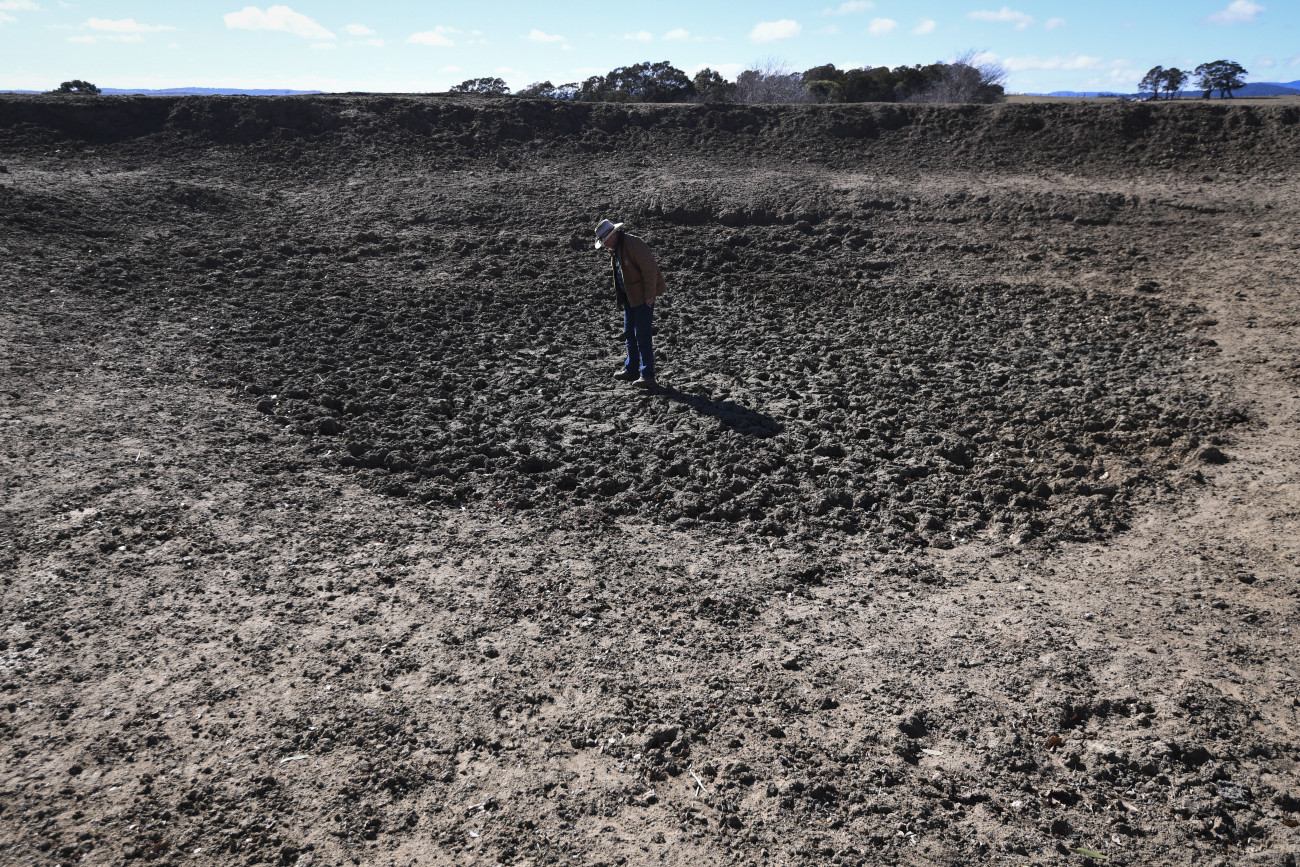Braidwood, 2018. augusztus 10.
Kiapadt itató fenekét nézi Mark Horan ausztrál állattartó gazda Bedervale nevű farmjának kiszáradt legelőjén az új-dél-walesi Braidwood közelében 2018. augusztus 9-én. A helyi kormányzat augusztus 8-án szárazság sújtotta térségnek nyilvánította Ausztrália legnépesebb szövetségi állama, Új-Dél-Wales egész területét. Bár Ausztráliában jelenleg tél van, a kontinens komoly szárazsággal küzd, mert 1902 óta nem esett olyan kevés eső az őszi hónapokban, mint idén. Az itatók kiszáradása miatt a legtöbb gazdának az állatok ivóvizéről is gondoskodnia kell. Egy birka naponta 5-10 liter vizet iszik, a szarvasmarha azonban ennek a tízszeresét is megihatja. A hatóságok szerint a csapadékhiány miatt válságba kerülhet az ország gazdaságának alapját jelentő állattartás. A szélsőséges időjárást a vadállatok is megsínylik; a vadon élő kenguruk beszöknek a farmokra, hogy szomjukat a pásztorkutyáknak kihelyezett vízzel oltsák. (MTI/EPA/Lukas Coch)