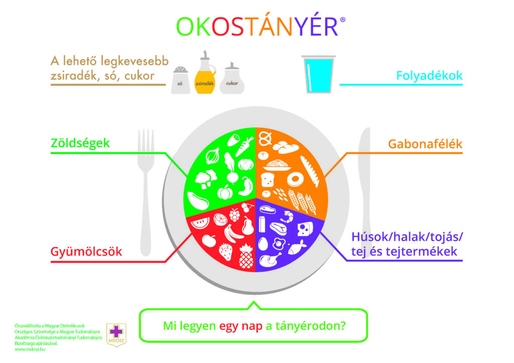 Így néz ki az az Okostányér, amelyet a Magyar Dietetikusok Országos Szövetsége dolgozott ki, hogy segítse a helyes táplálkozást.