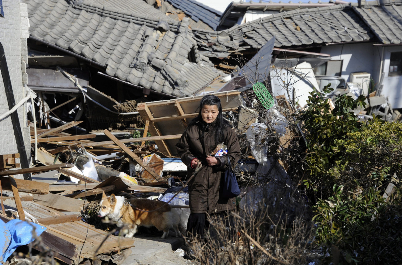 Ivaki, 2011. március 12.
Összedőlt házak romjai között megy kutyájával egy nő a Fukusima prefektúrabeli Ivakiban, miután az előző nap a Richter-skála szerinti 8,9-es erősségű földrengés rázta meg Japán északkeleti partvidékét, a rengés pedig szökőárt okozott az epicentrum közelében. A kettős katasztrófában legalább 574 ember életét vesztette, az eltűntek száma közel tízezer. (MTI/EPA/Franck Robichon)