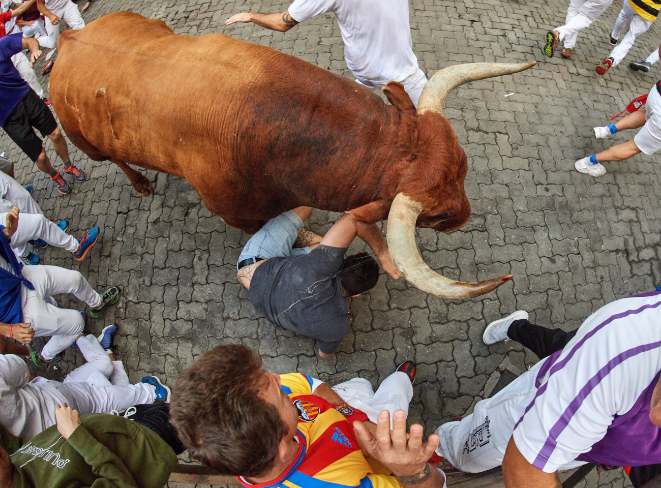 Elesik a bika mellett az egyik futó a San Fermín fesztiválon Pamplonában 2019. július 14-én. A spanyol város védőszentjének tiszteletére 1591 óta évente megrendezett kilencnapos fiesta egyik fő attrakciója a reggelenkénti bikafuttatás, amelynek során férfiak százai teszik próbára bátorságukat azzal, hogy az arénába hajtott állatok előtt végigszaladnak Pamplona utcáin.
MTI/EPA/Daniel Fernandez