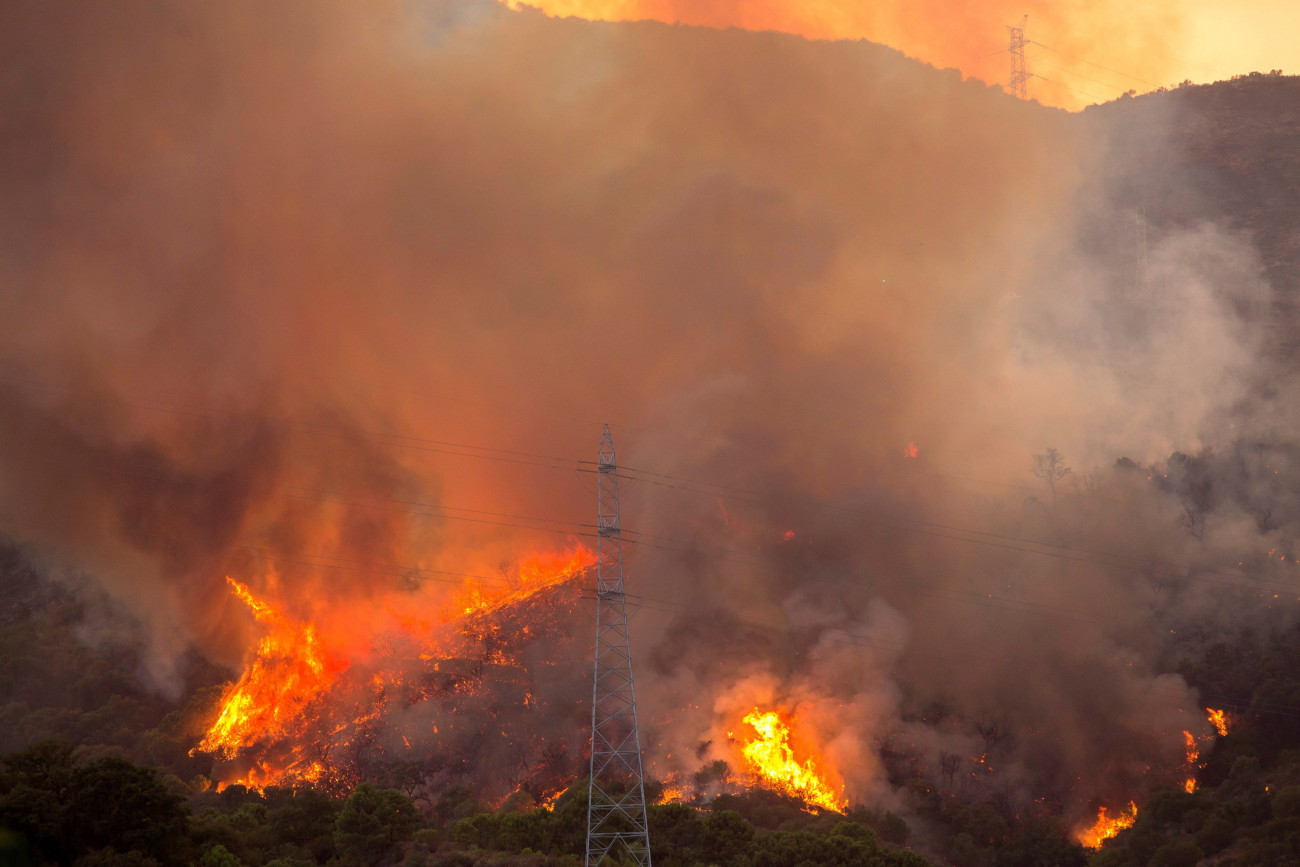 Estepona, 2019. augusztus 20.
Erdőtűz pusztít a dél-spanyolországi Málaga tartományban fekvő Estepona közelében 2019. augusztus 19-én.
MTI/EPA/EFE/Carlos Diaz