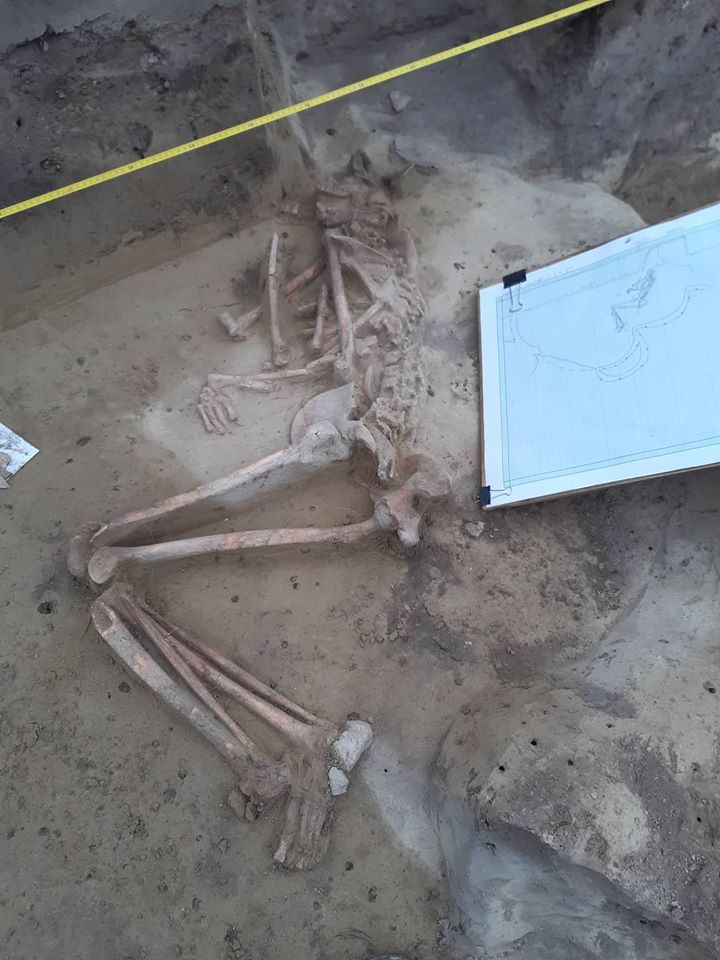 A sír és pontos mása (Facebook/MFM Régészeti Osztály)