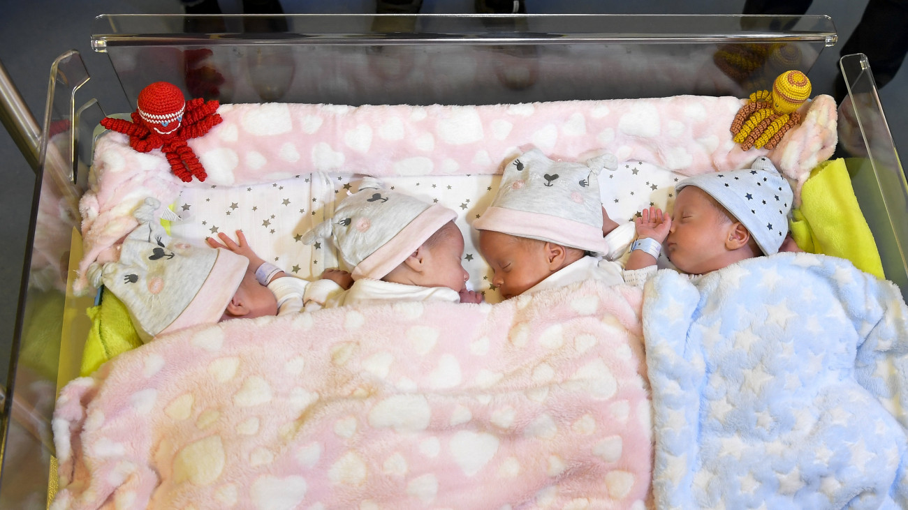 A debreceni négyes ikrek, Anita, Anna, Panna, valamint Richárd  a Debreceni Egyetem Szülészeti és Nőgyógyászati Klinikáján. Fotó: MTI/Czeglédi Zsolt