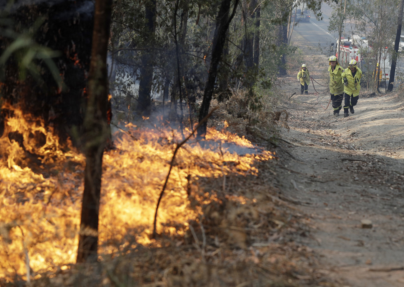 Bendalong, 2020. január 3.
Ég a növényzet az Új-Dél-Wales állambeli Bendalongban 2020. január 3-án. Az október óta tomboló bozót- és erdőtüzek miatt emberek tízezreit kell kimenteni Ausztrália délkeleti térségéből. Ausztrália-szerte 5,5 millió hektárnyi földterület égett le, 18 ember meghalt és több mint ezer ház vált a lángok martalékává.
MTI/AP/Rick Rycroft