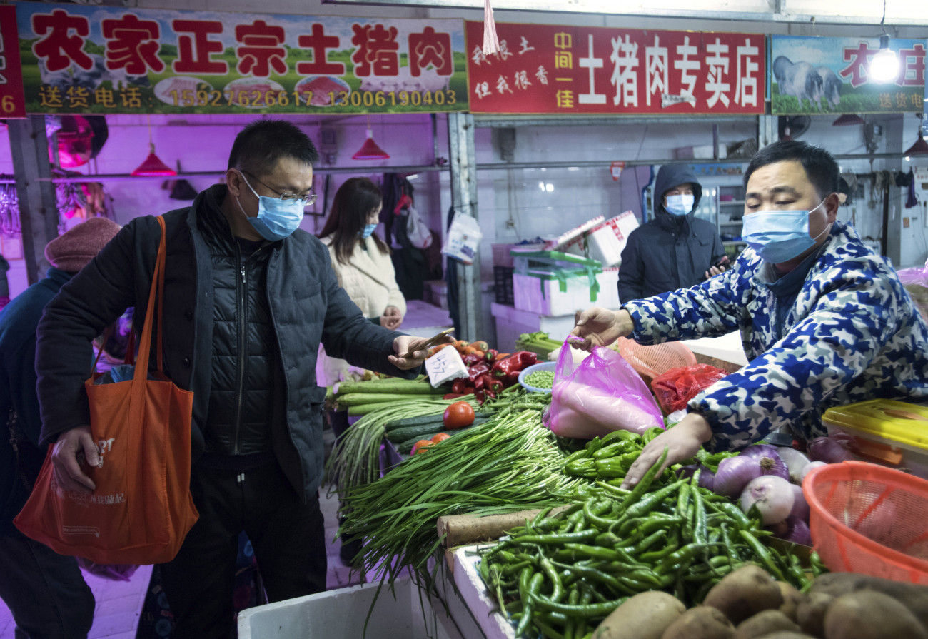 Vuhan, 2020. január 23.
A Hszinhua kínai állami hírügynökség által közreadott kép védőmaszkot viselő vásárlókról egy vuhani piacon 2020. január 23-án. Négyszáz fölé nőtt az új koronavírussal fertőzöttek száma Kínában, ahol a járvány már az ország 13 régióját elérte. A kínai Nemzeti Egészségügyi Bizottság közleménye szerint betegség halálos áldozatainak száma kilencre nőtt a járvány kiindulópontjának számító közép-kínai Vuhanban, és csak az előző nap 149 új fertőzöttet diagnosztizáltak az országban, így az összes beteg száma 440-re emelkedett. A vírus néhány esetben már Tajvanon, Thaiföldön, Japánban, Dél-Koreában és az Egyesült Államokban is megjelent.
MTI/AP/Hszinhua