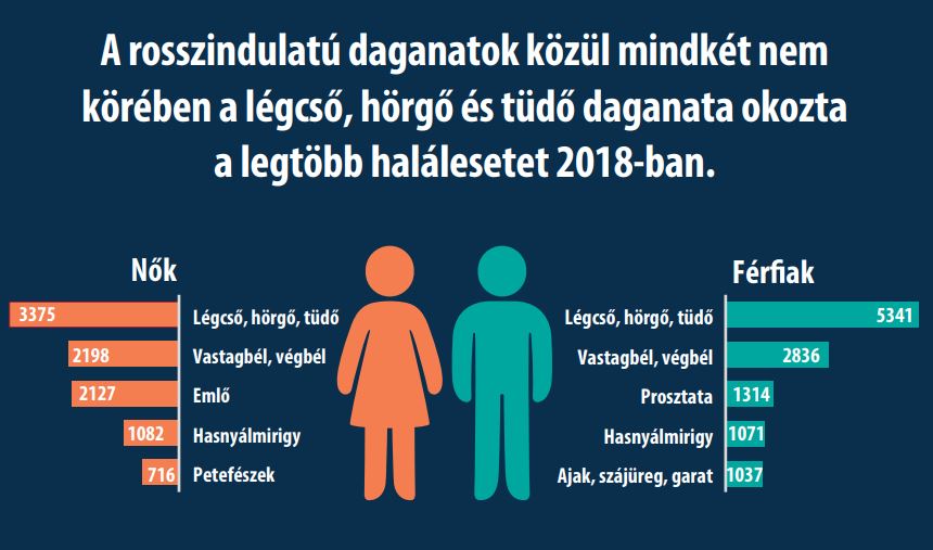 rákos betegek száma magyarországon