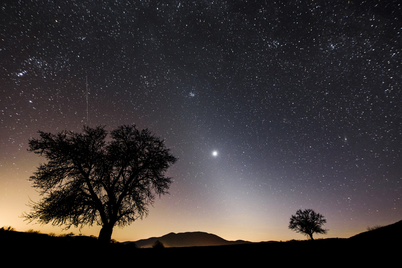 Salgótarján, 2020. március 16.
Az állatövi fény és a Vénusz látható az égbolton Salgótarján közeléből fotózva 2020. március 15-én. A fényjelenséget a bolygóközi porfelhőről visszaverődő napfény okozza. Az állatövi fényt a mérsékelt övi területekről februárban és márciusban napnyugta után, illetve szeptemberben és októberben napkelte előtt lehet látni.
MTI/Komka Péter