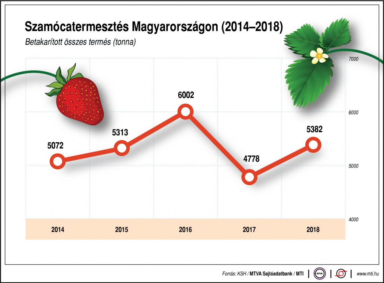 Szamócatermesztés Magyarországon (2014-2018);
Betakarított összes termés (tonna)