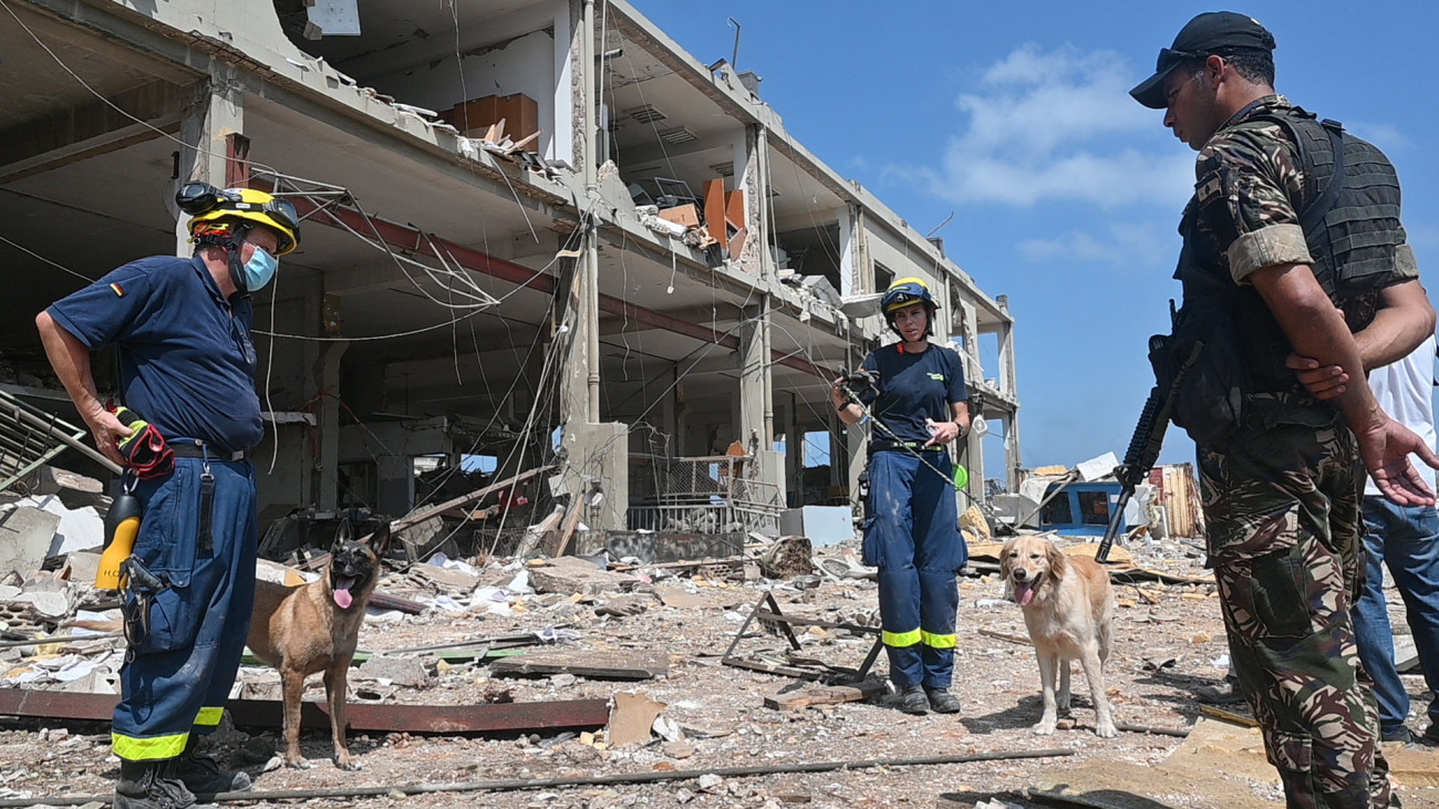 Bejrút, 2020. augusztus 7.
A német Technikai Segélyszervezet Szövetségi Intézetének (THW) tagjai keresőkutyákkal a romok között 2020. augusztus 7-én, három nappal a kikötői negyedben történt hatalmas erejű, kettős robbanás után. A detonációk következtében a legutóbbi információk szerint legkevesebb 135 ember életét vesztette, több mint ötezren megsebesültek, 200-250 ezer közé tehető azoknak a száma, akik elveszítették otthonukat. Bejrútot katasztrófa sújtotta várossá nyilvánították.
MTI/EPA/Vael Hamzeh