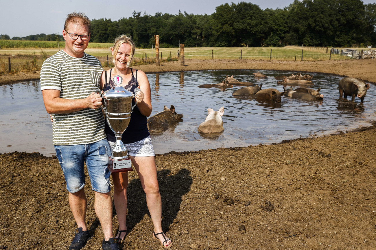 Hellendoorn, 2020. augusztus 12.
Koen (b) és Melissa biogazdálkodók trófeát tartanak a kezükben a hollandiai Hellendoornban 2020. augusztus 12-én. A fiatal pár biogazdaságának pocsolyája nyerte meg az idei év legszebb pocsolyájának járó díjat a Wakker Dier nevű állatjóléttel foglakozó szervezet által meghirdetett versenyen.
MTI/EPA/ANP/Vincent Jannink